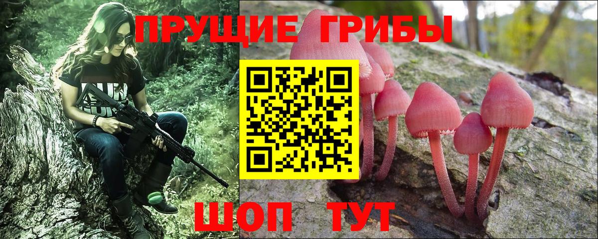 Псилоцибиновые грибы Psilocybine cubensis Лысьва