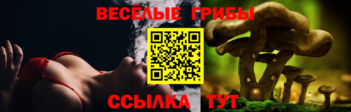 Галлюциногенные грибы Лысьва